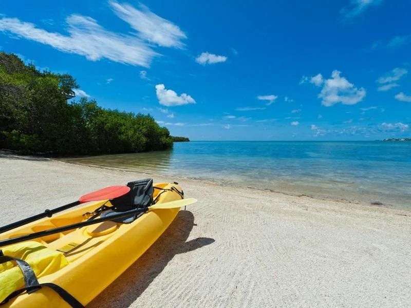 Driftwood Lodge