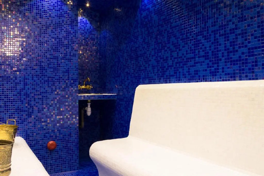 Riad SPA "Les Portes de lOrient" TOURS