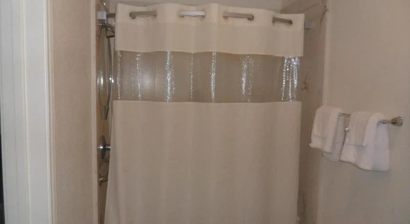 Deluxe Inn Palacios