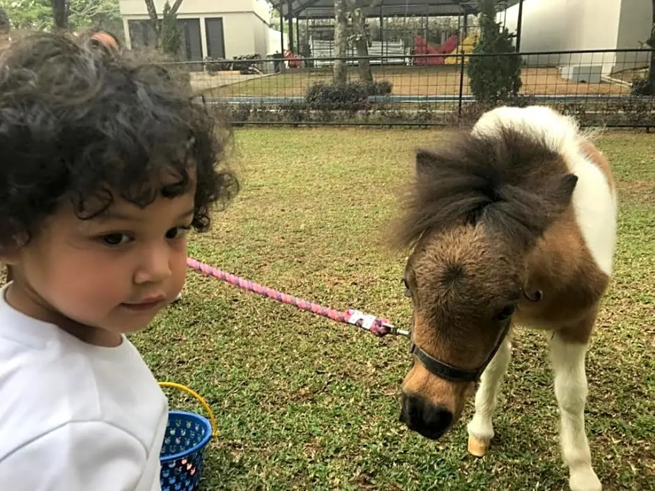 One Global Adria - Equine Estate & Resorts
