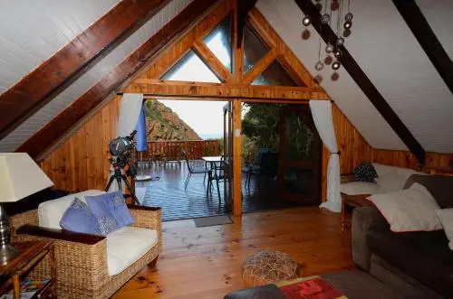 Ballots Tree House