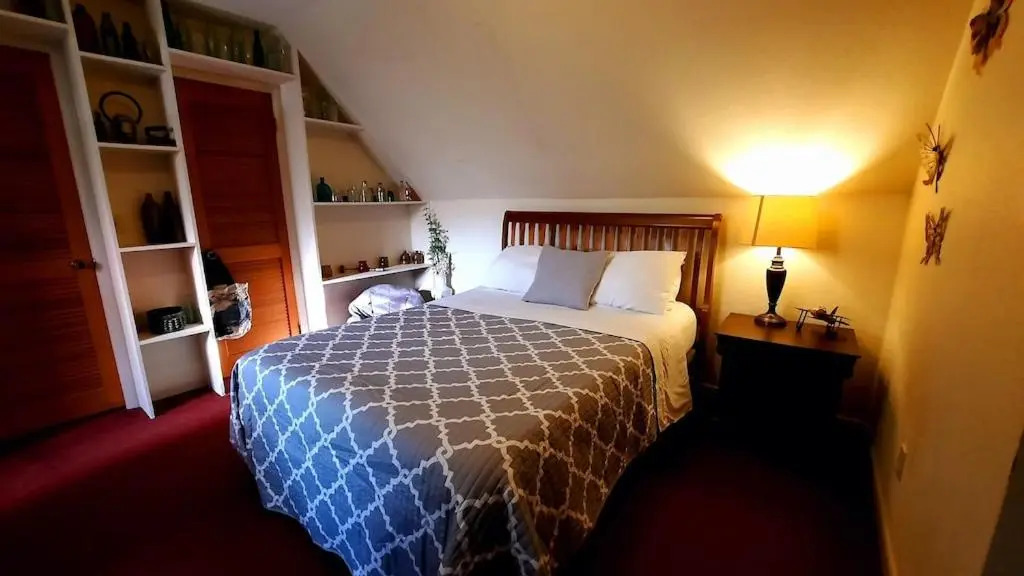 The Mountain Forager Cabin, Whitewater Rafting, Polar Express, Hot Tub, Home Gym