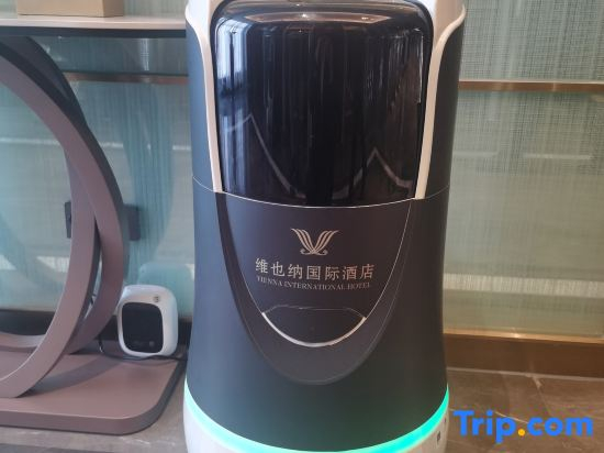Vienna International Hotel (Yueyang Free Trade Zone Chenglingji)