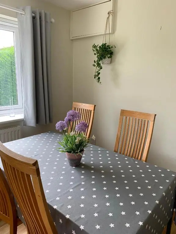 New Forest Chalet