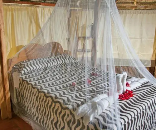 Pacaya Samiria Amazon Lodge - ALL INCLUSIVE