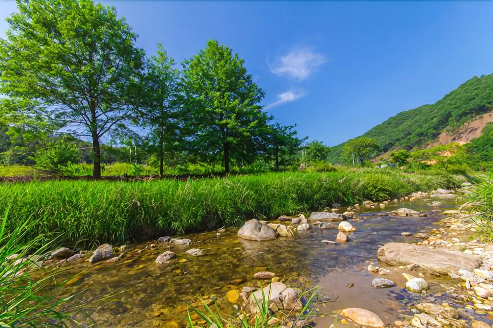Yangpyeong Anna & Gina Pension
