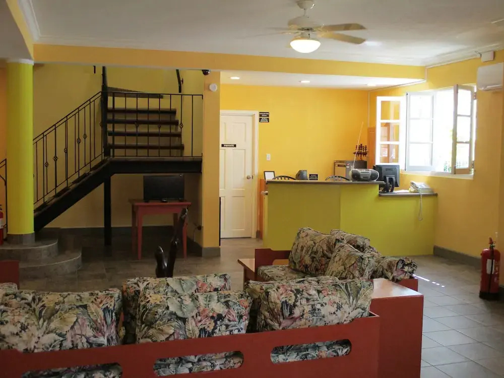 Harlem B & B
