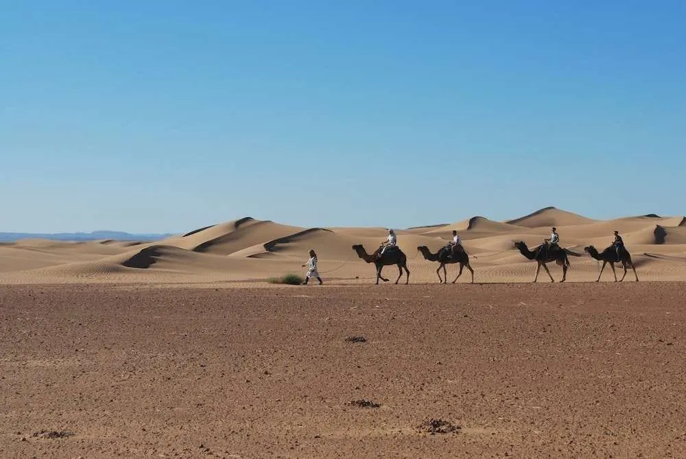 Mhamid Sahara Camp Activities - Le Chant du Sable