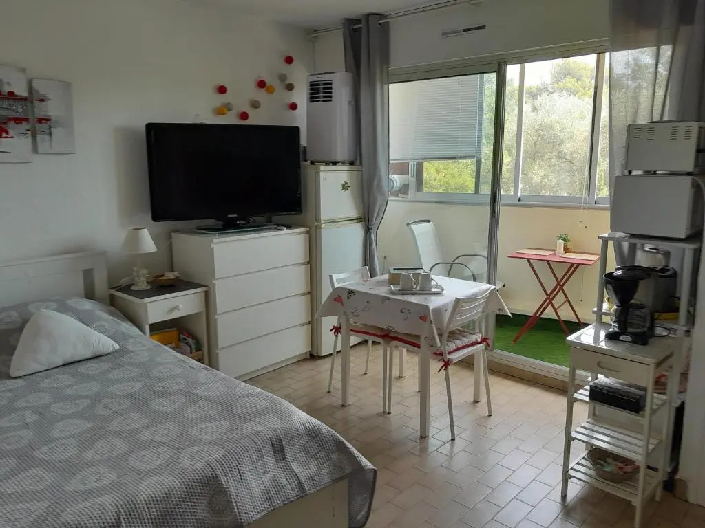 STUDIO CONFORT ET LUMINEUX avec LOGGIA ET PARKING PRIVE