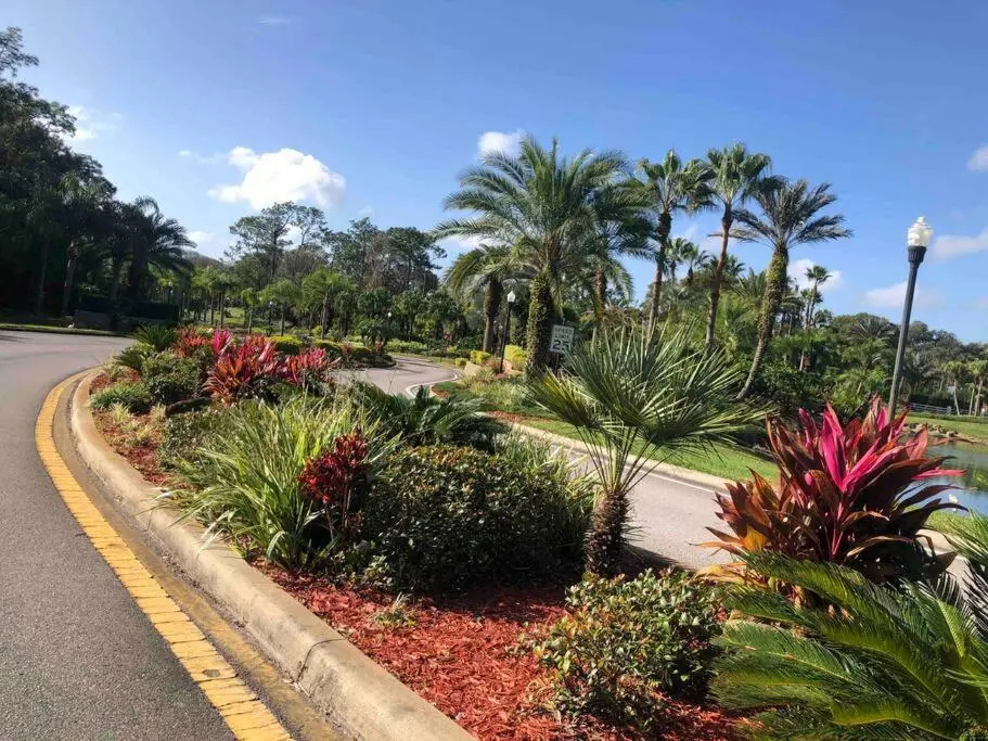 “A little Piece of Paradise” New Condo