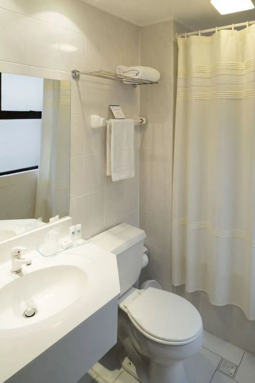 Presidente Suites Concepción