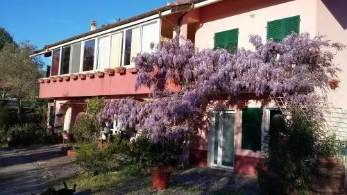 La Casa Rosa