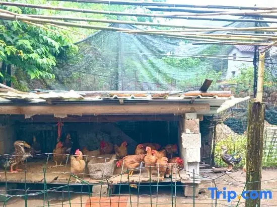 Zhexi Tianchi Xishui Homestay
