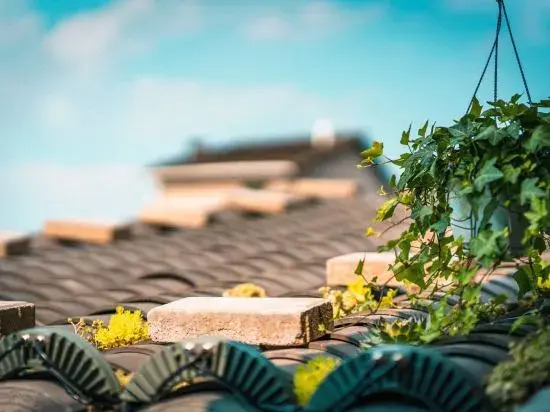 Changting Jichuan Bieyuan Homestay