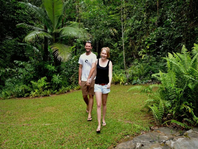 Daintree Deep Forest Lodge