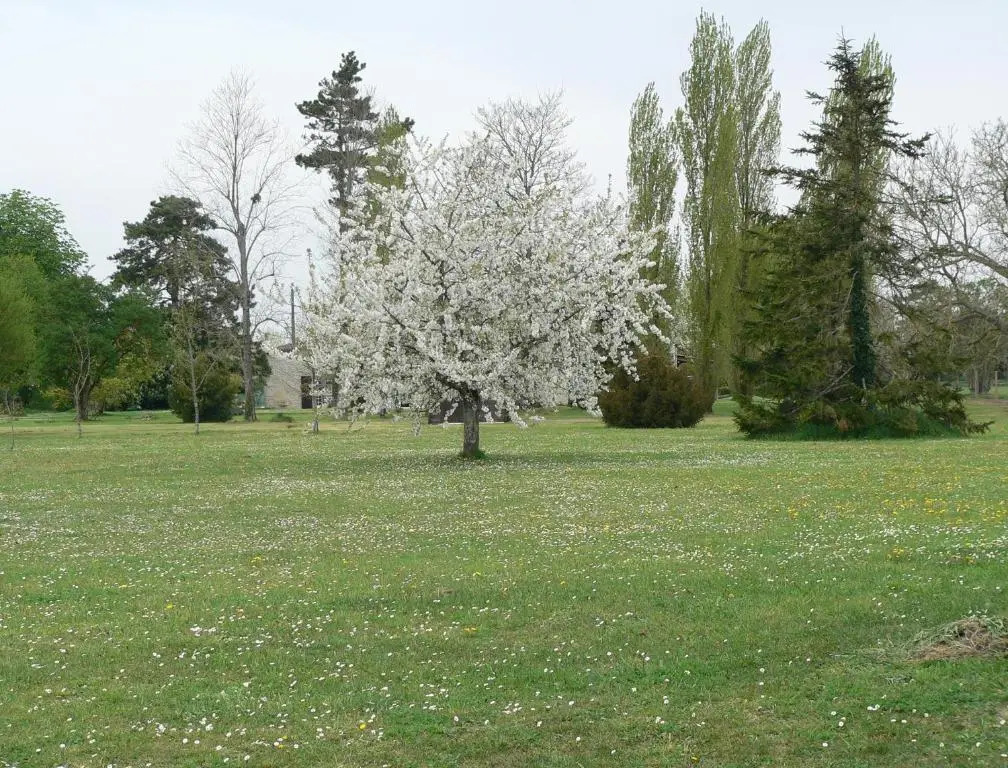 La Bribaudonnière