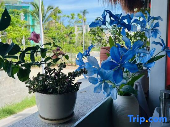 Sanya Lushang Yunpan Homestay (Sanya Bay Sanya Phoenix International Airport)