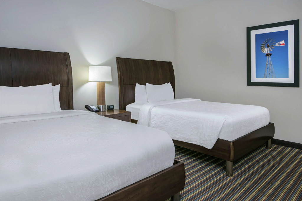 Hilton Garden Inn San Antonio At The Rim