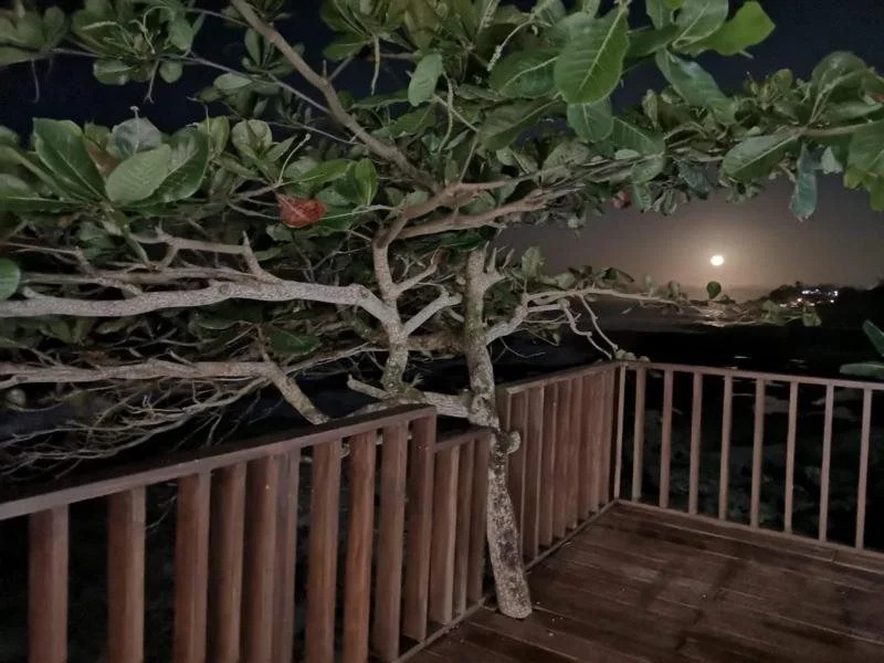 Hotel Playa Bonita