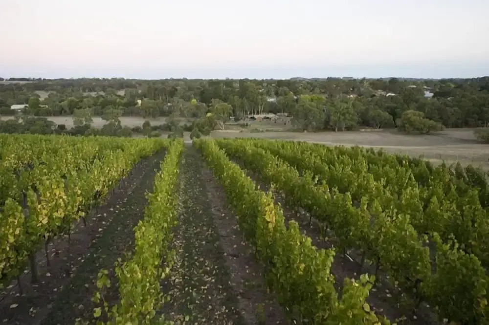 Barristers Block Vigneron Villa