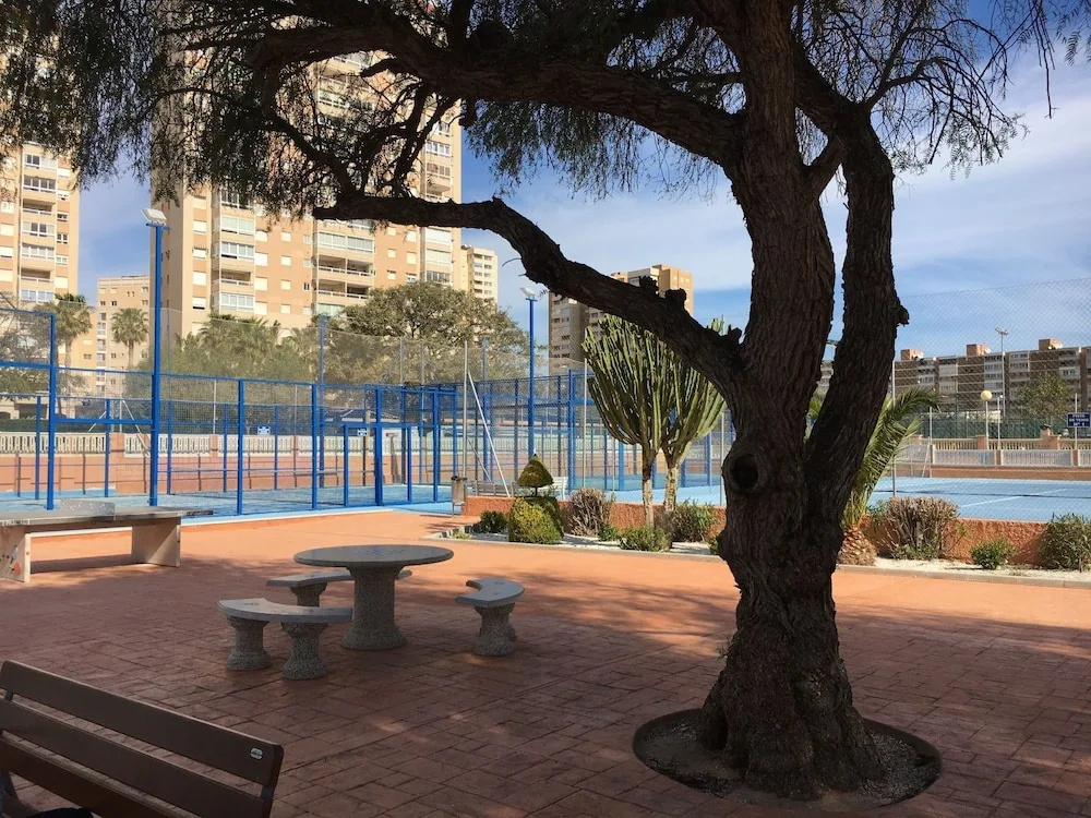 Estudio Playa Muchavista