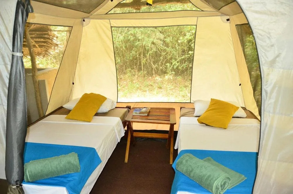 Palpatha Eco Safari Lodge