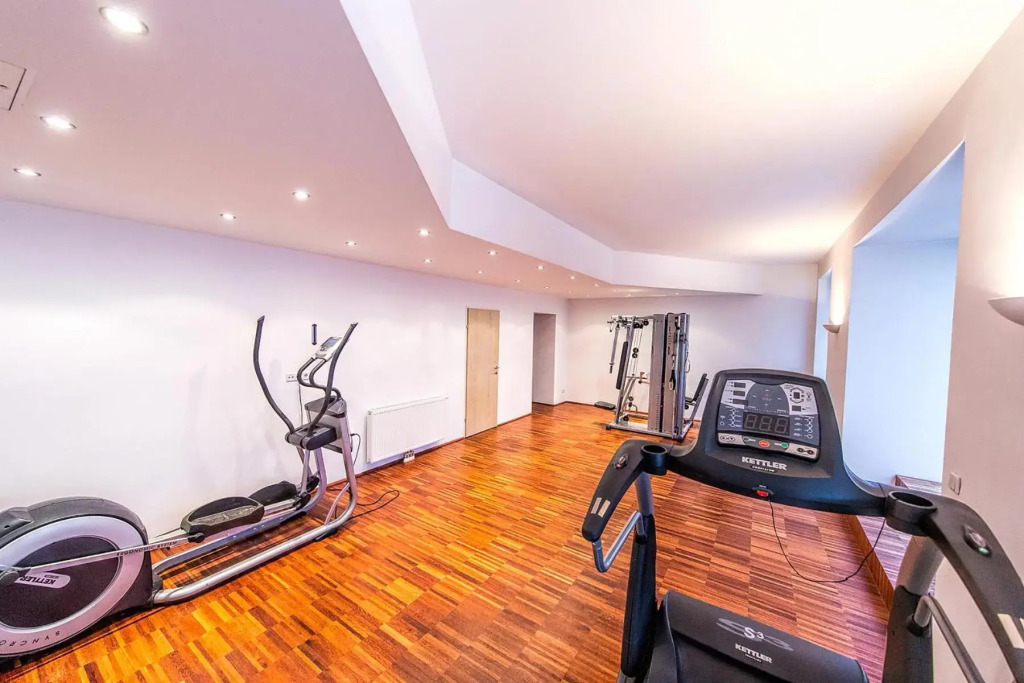 Beautiful apartment in Vienna's heart