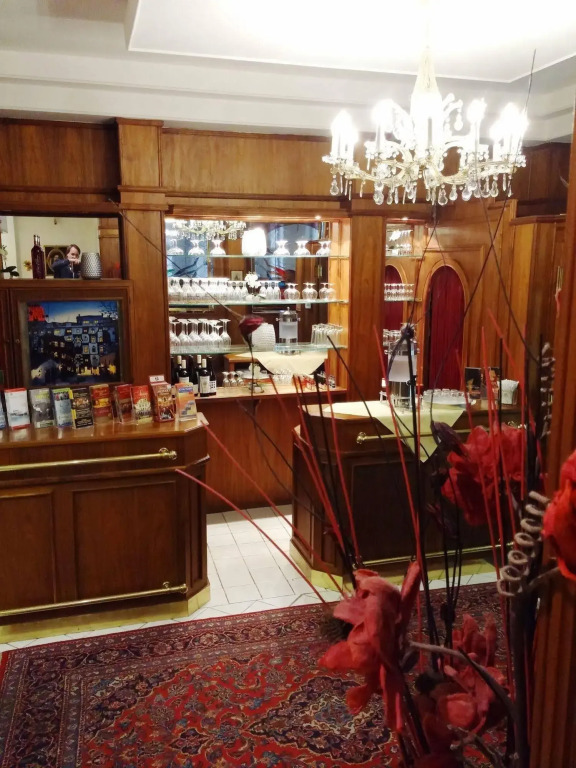Hotel Domizil