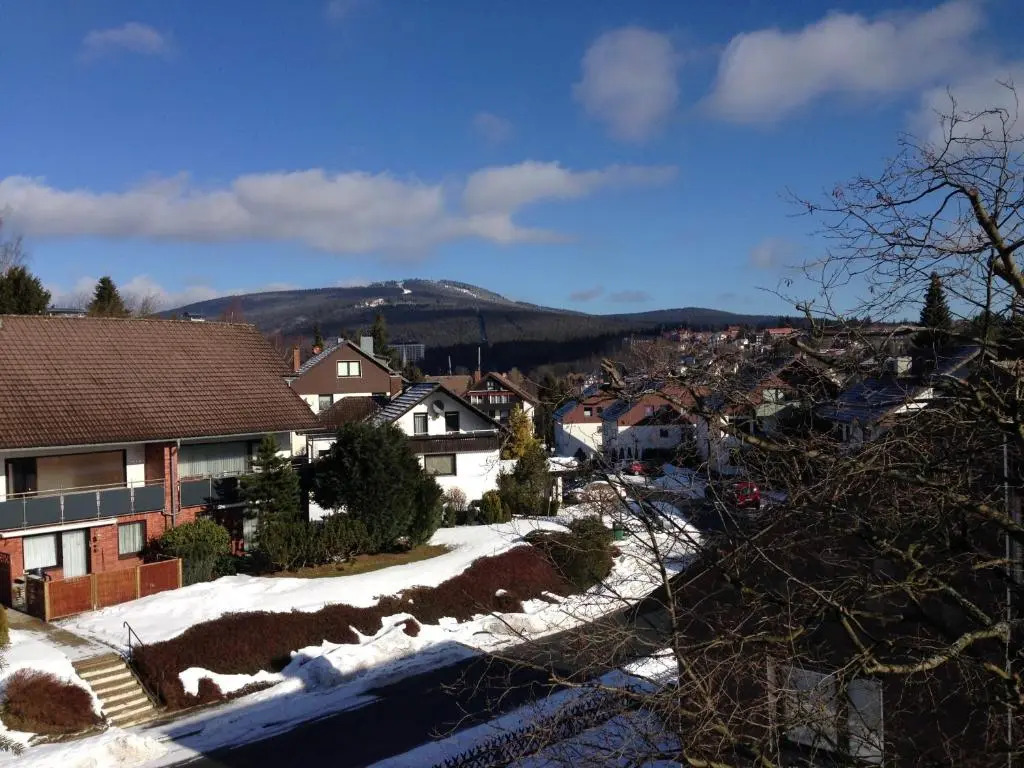 Hexe I - mit Blick auf den Wurmberg