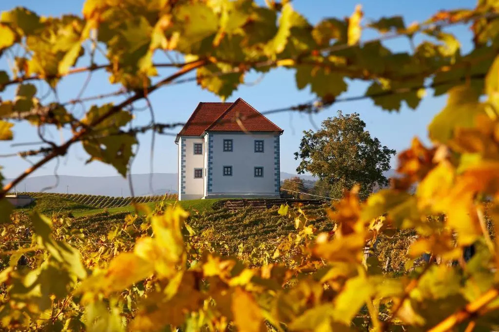 Wine Growers Mansion Zlati Gric