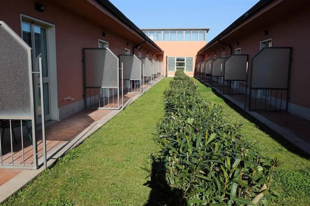 Palacavicchi