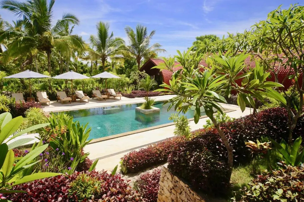 Jungle Paradise