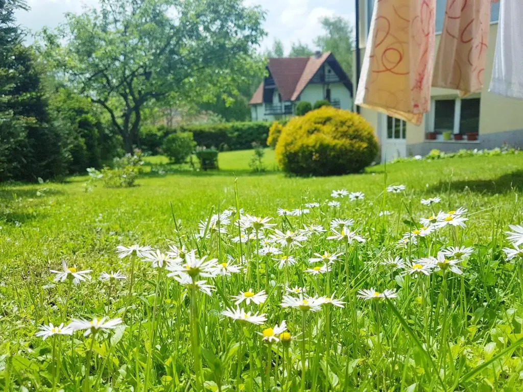 Dobrila Apartments
