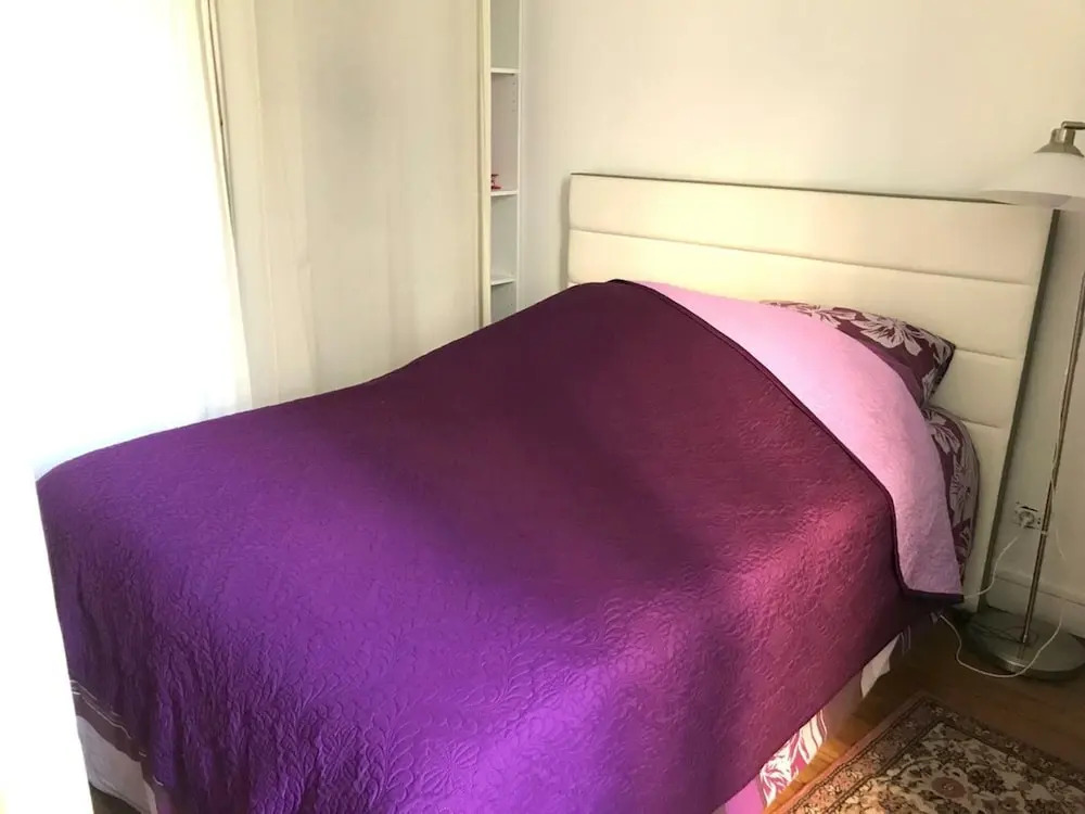 Tour Eiffel Peclet Paris
