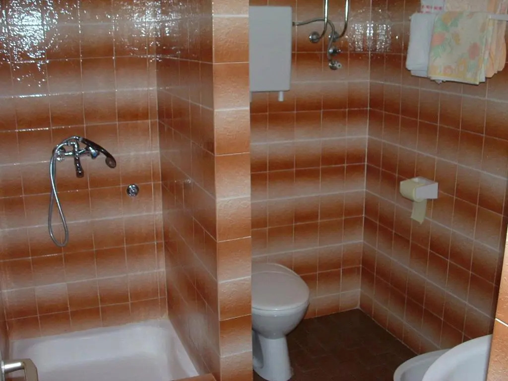 Apartments Runac