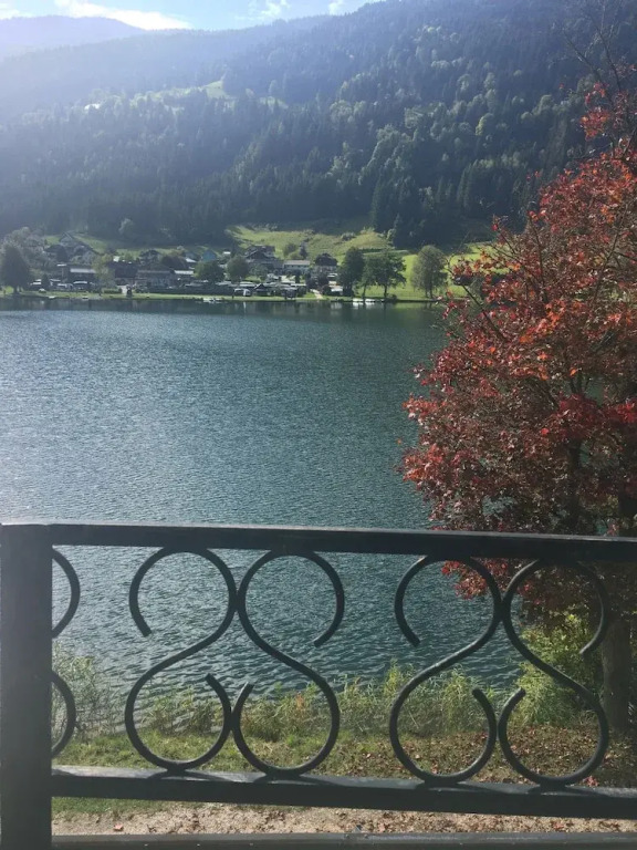 SeeBrauer