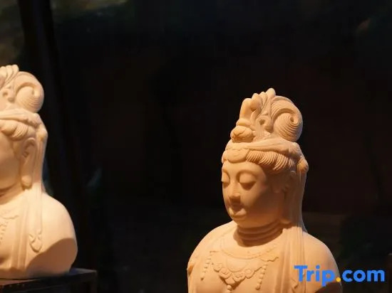 Yaan Lushan · Nanqi Meisu (Jinsinan Fulun Art Museum Store, Yingbin Avenue)