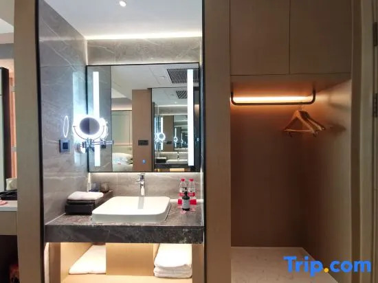 TrueGo Hotel(ShenZhen FutianPort Convention and Exhibition X Center)