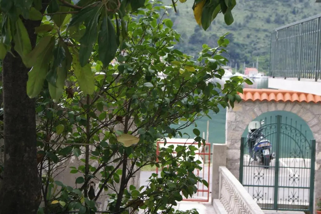 Apartment Kotor-Andrija Jovanovic