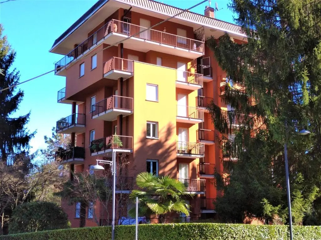 Pettirosso