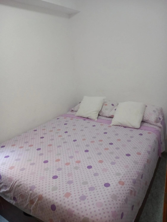 habitación pequeña en piso compartido con 2 adultos y 1 perrito