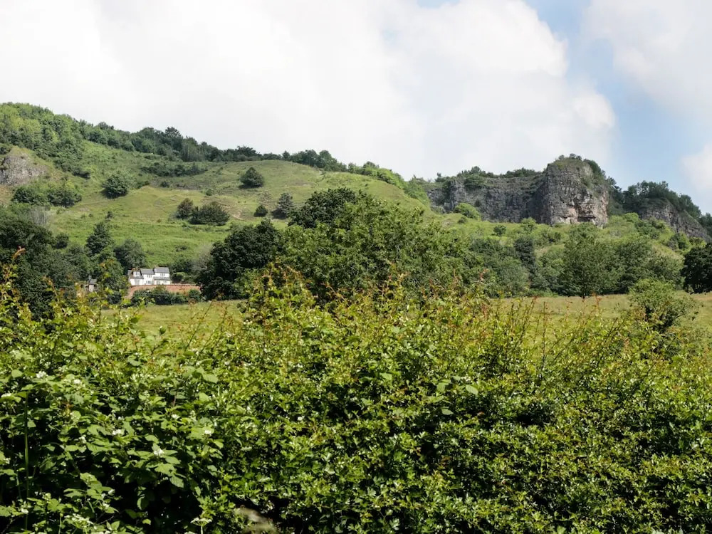 View Cottage