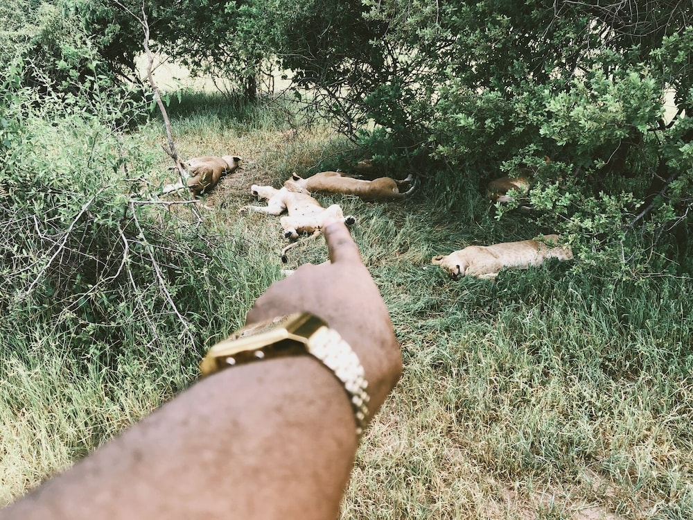Tembe Home