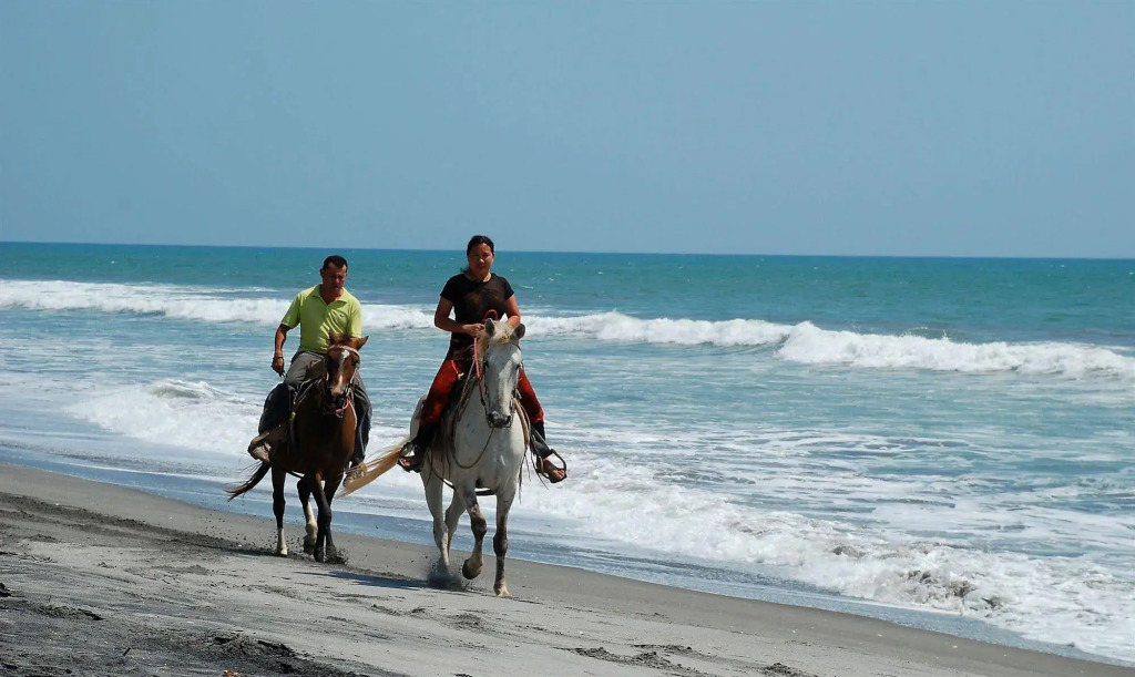Las Hojas Resort & Beach Club