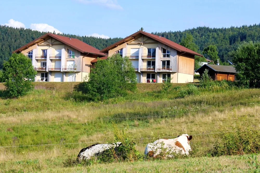 Apartment With 2 Bedrooms in Xonrupt-longemer - 10 km From the Slopes