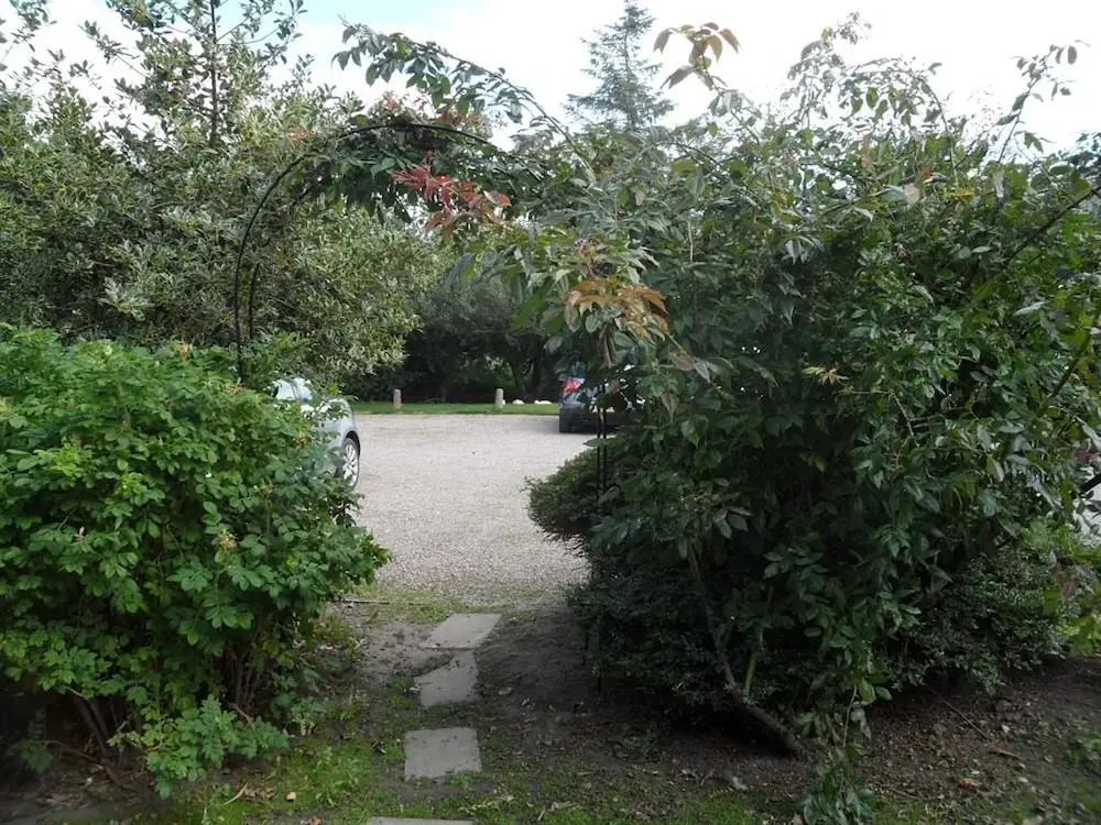 Sandy Brook Farm