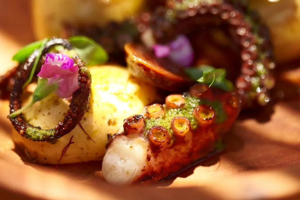 Zadun Los Cabos, a Ritz-Carlton Reserve