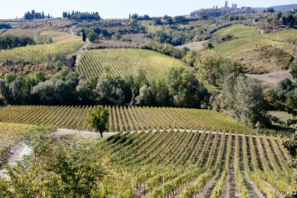 La Lucciolaia