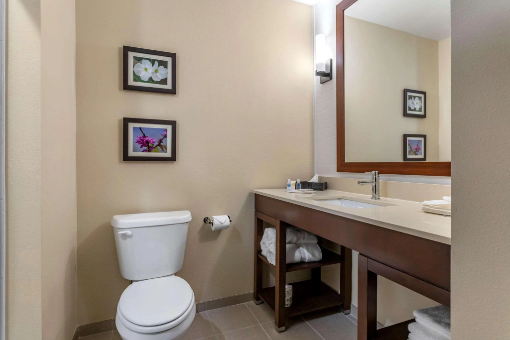 Comfort Inn & Suites Waller
