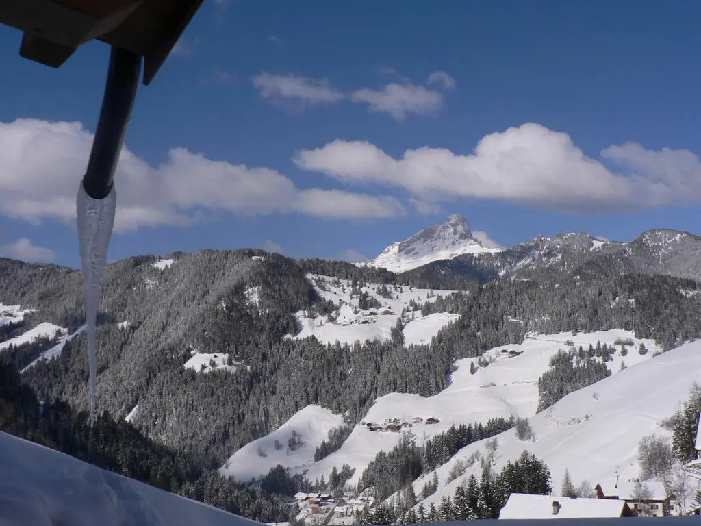 Hotel Alpenrose Dolomites
